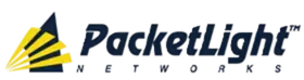 PacketLight